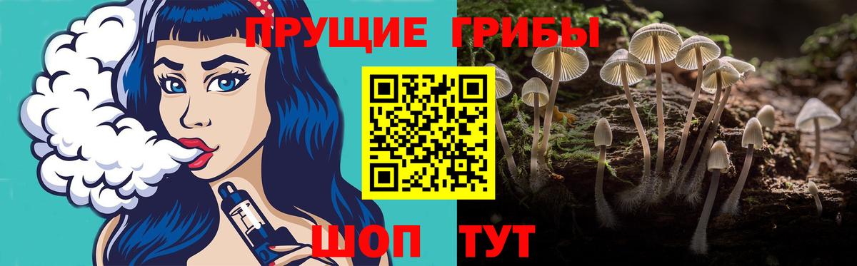 Реутов  Галлюциногенные грибы Psilocybine cubensis  Вход с VPN 